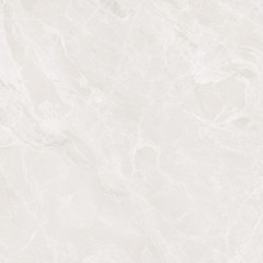 Mramor Princess White Керамогранит светло-серый 60х60 Полированный