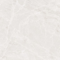 Mramor Princess White Керамогранит светло-серый 60х60 Полированный