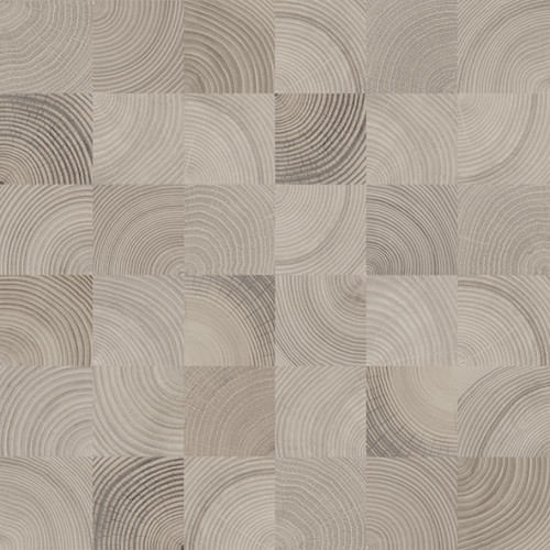 Шиен 2 Керамогранит серый 50х50