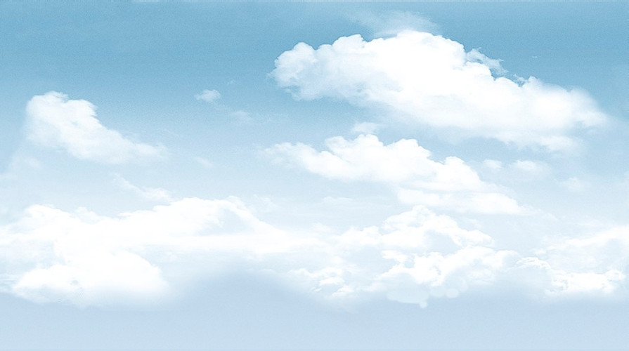 Dec Tropic 1 Декор КВС16Tropic1 25х45