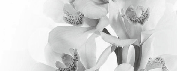 Элегия 7 Панно тип-2 20х50