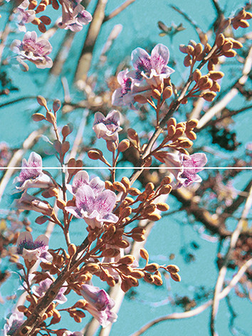 Spring P2D261 Панно из 2-х плиток 30х40
