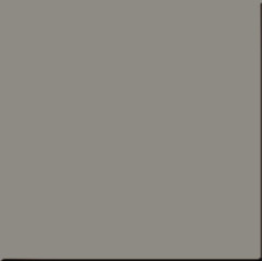 RW 032 60х60 неполир.