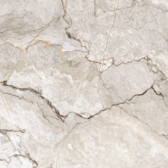 CR121 Керамогранит Tanami Pearl Carving 60*60см 1,44м2