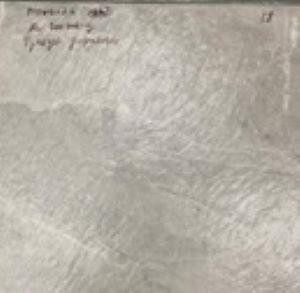 NR124 Керамогранит Hangar Light grey 60*60 #