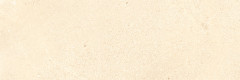 Arizona Плитка настенная бежевый (ZAU011D) 25x75