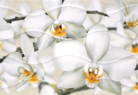 Энигма 3 Плитка настенная тип 1 27,5х40