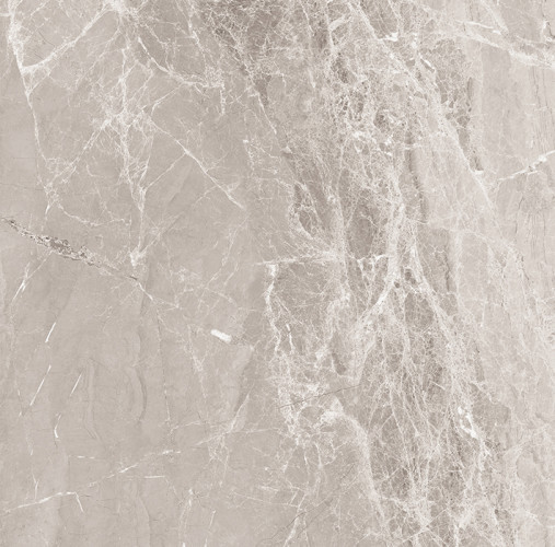 Nostalgic Silver Керамогранит 60х60 Полированный