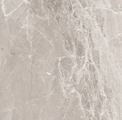 Nostalgic Silver Керамогранит 60х60 Полированный