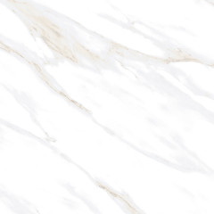 Calacatta Clarity Gold Керамогранит белый 80х80 Матовый