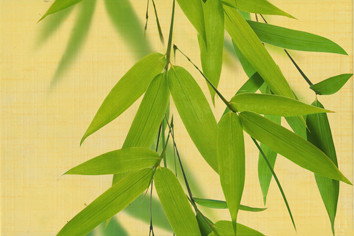 OLL Декор 2 20х30