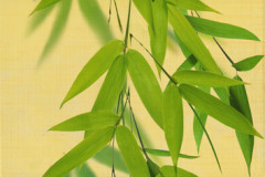 OLL Декор 2 20х30