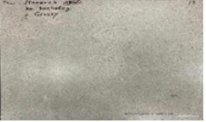 NR211 Керамогранит Nemo Light grey 60*120