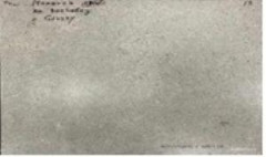 NR211 Керамогранит Nemo Light grey 60*120