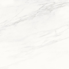 Calacatta Superb Керамогранит белый 60x60 матовый