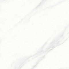 Calacatta Superb Керамогранит белый 60x60 матовый