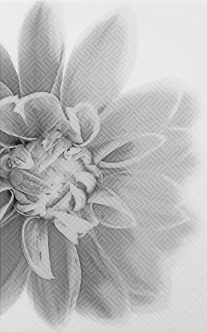 Камелия Декор черный 03 25x40