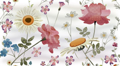 Dec Floret Panno A КПН16FloretA 25х45