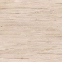 Botanica глаз. керамогранит коричневый (15957/16093) 42x42