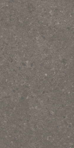 Чеппо ди Гре Керамогранит коричневый матовый обрезной DD508120R 60x119,5