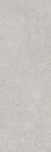 Риккарди серый светлый матовый обрезной 14053R 40x120