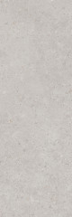 Риккарди серый светлый матовый обрезной 14053R 40x120