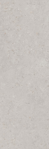 Риккарди серый светлый матовый обрезной 14053R 40x120