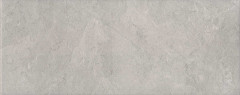Ламелла Керамогранит серый светлый SG413700N 20,1х50,2