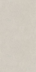 Джиминьяно Керамогранит серый светлый лаппатированный обрезной DD519222R 60х119,5