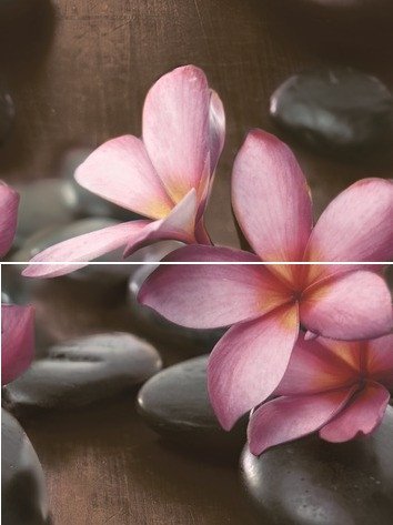 Sauna Панно P2D174 30х40 (из 2-х пл.)