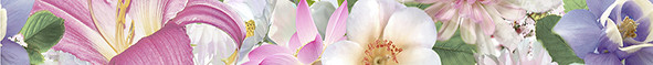 Mold Flores Бордюр 5х50