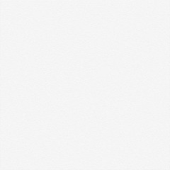 Monocolor Керамогранит белый 01 45х45