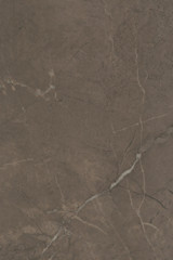 Эль-Реаль коричневый 8316 20х30