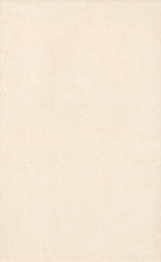 Камея Плитка настенная беж 6190 25х40