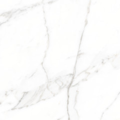 Calacatta Extra Керамогранит 60х60 Матовый