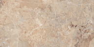 Brecia Antic Brown Керамогранит 60х120 Полированный