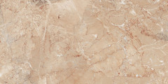 Brecia Antic Brown Керамогранит 60х120 Полированный