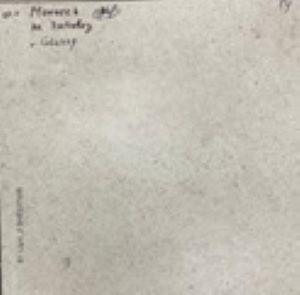 NR122 Керамогранит Nemo White 60*60