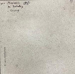 NR122 Керамогранит Nemo White 60*60