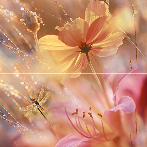 Flowers Панно P2-1D205 40х40 (из 2 плиток)