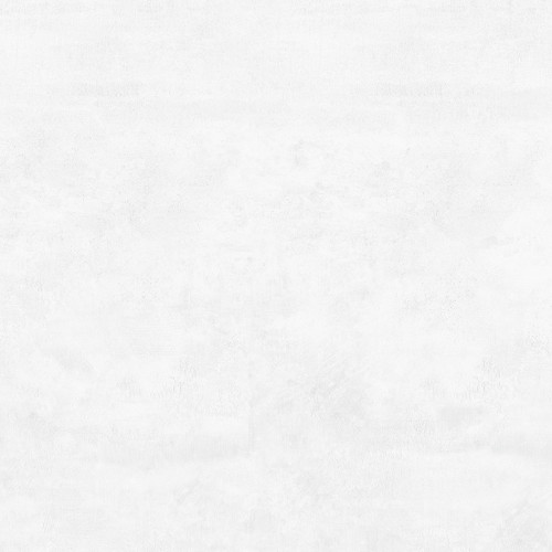 Flagman Керамогранит светло-серый K952736R0001LPET 60x60