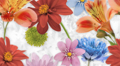 Dec Dance Panno A КПН16DanceA 25х45