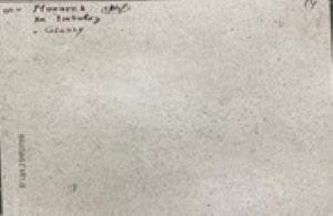 NR212 Керамогранит Nemo White 60*120