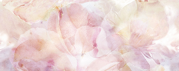 Dec Frescura Panno A 20х50