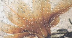 Dec Ocean Crema A Декор 32,5x60