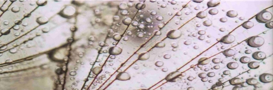 Luna bis A Декор 25х75