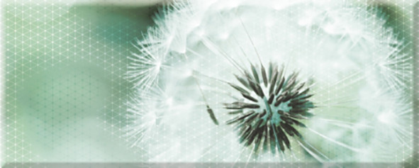 Концепт 7О Панно тип 2 `одуванчик` 20х50