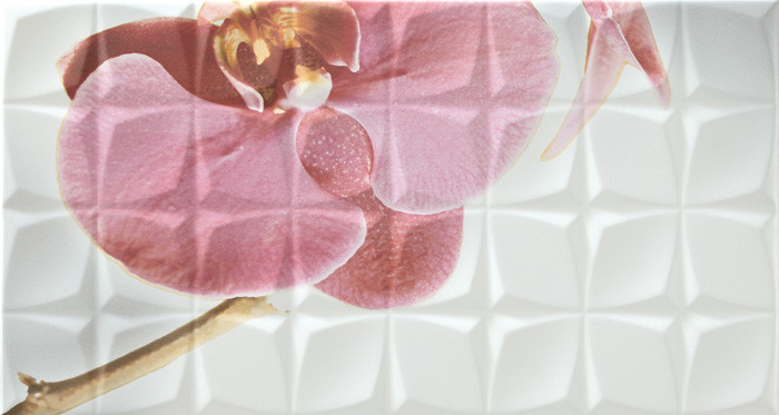 Dec. Orchid A Blanco BLN Декор 31,6x59,34