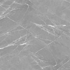 Elegance Керамогранит серый 01 45х45