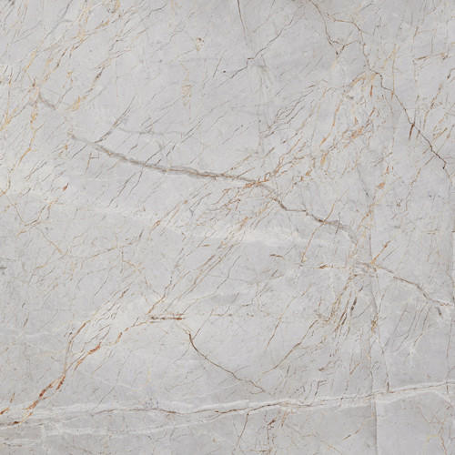 Silver Root Керамогранит 60х60 Полированный